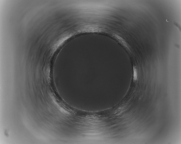 X0000099380627200805151619