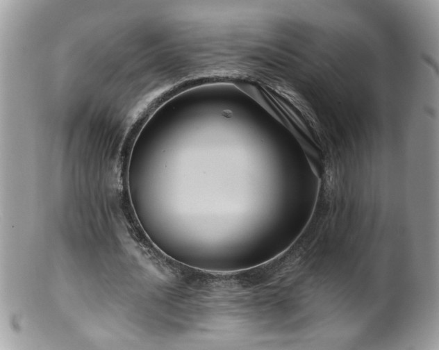 X0000099380628200805151619