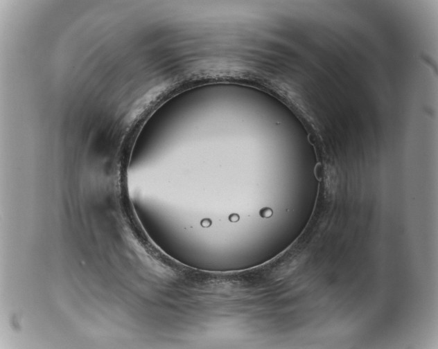 X0000099380629200805151619