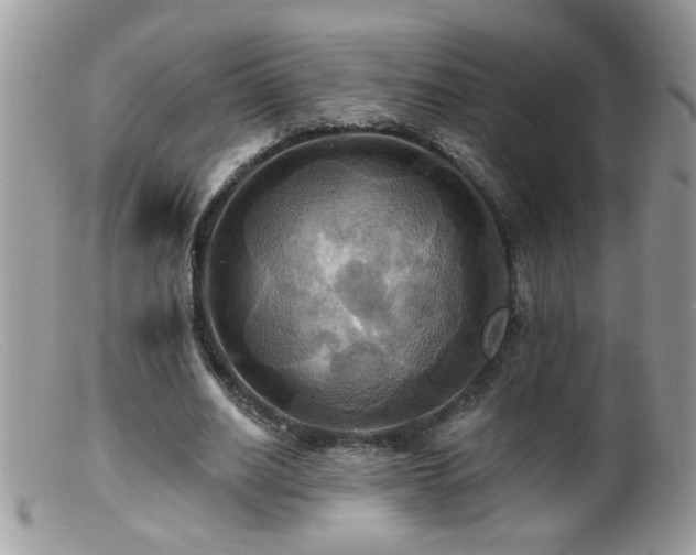 X0000099380630200805151619