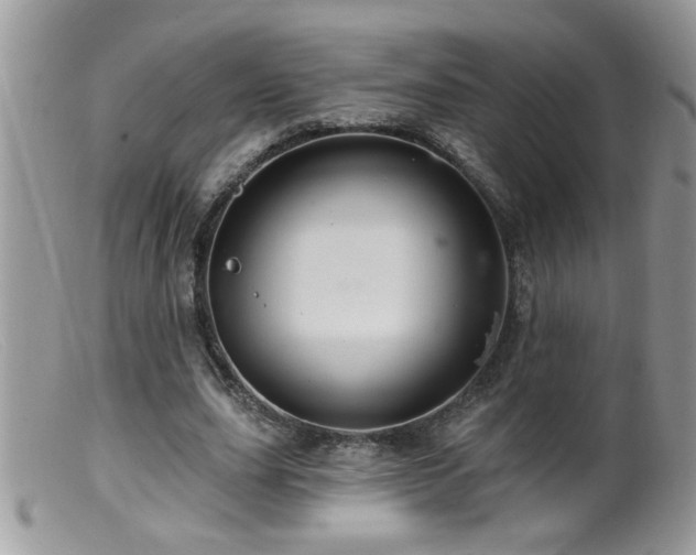 X0000099380631200805151619