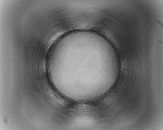 X0000099380632200805151619