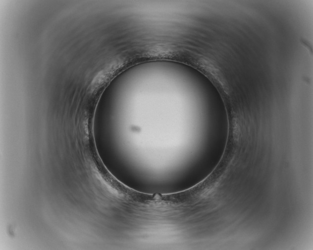 X0000099380633200805151619