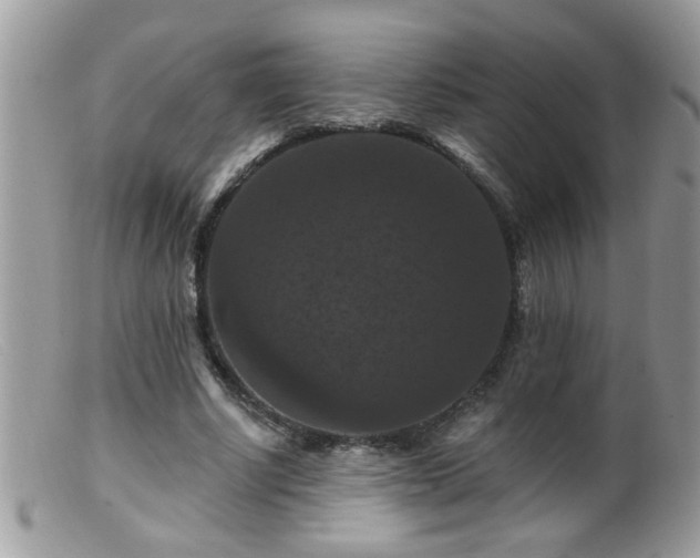 X0000099380634200805151619