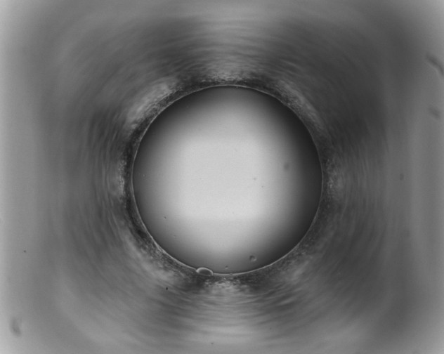 X0000099380635200805151619