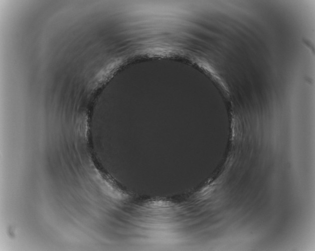 X0000099380637200805151619