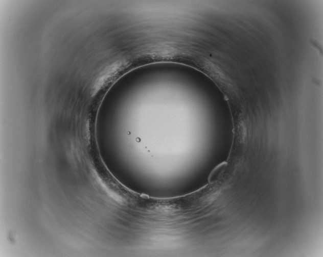 X0000099380638200805151619