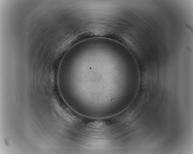 X0000099380639200805151619