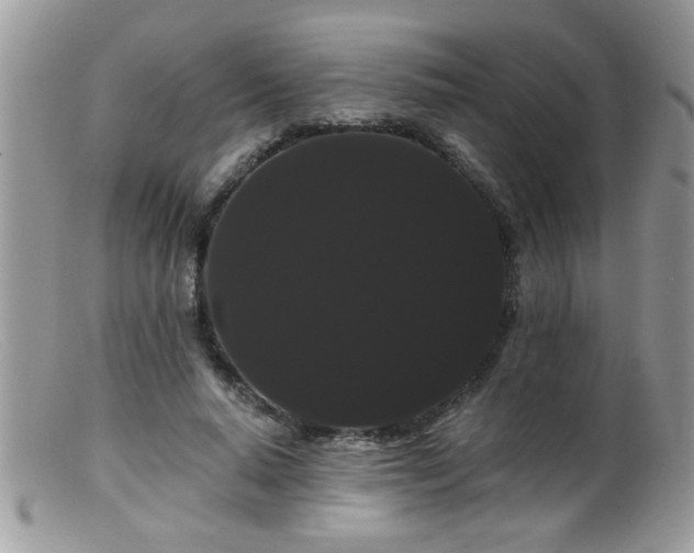 X0000099380640200805151619