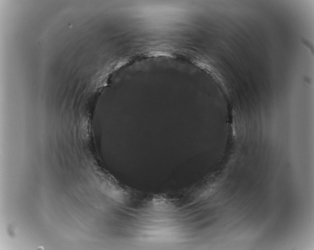 X0000099380641200805151619