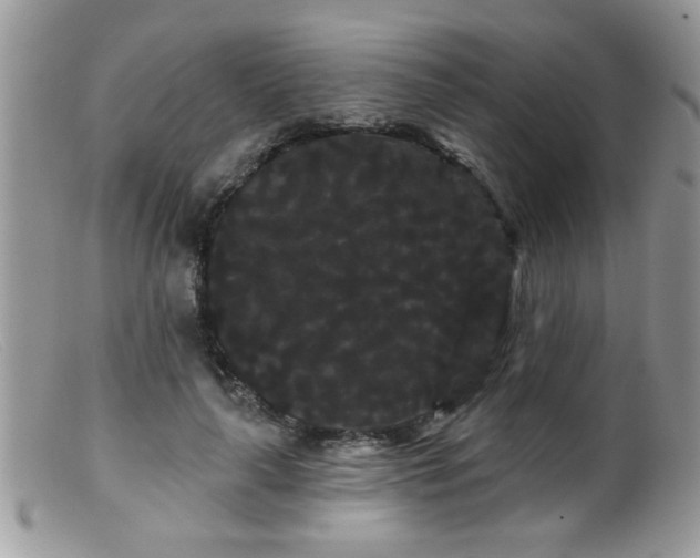 X0000099380643200805151619