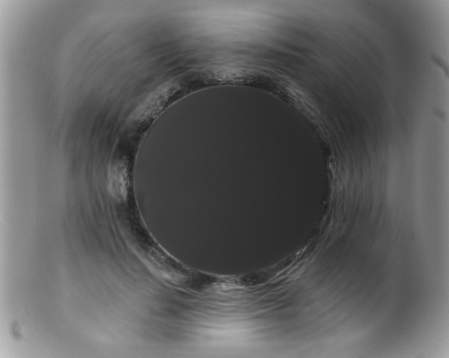 X0000099380644200805151619