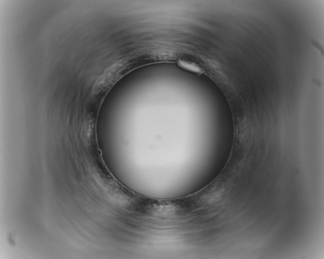 X0000099380645200805151619