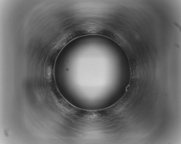 X0000099380646200805151619