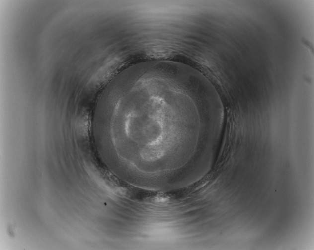 X0000099380647200805151619