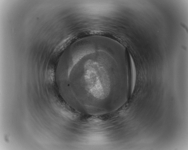 X0000099380648200805151619