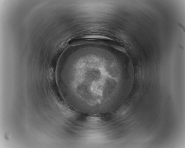 X0000099380649200805151619