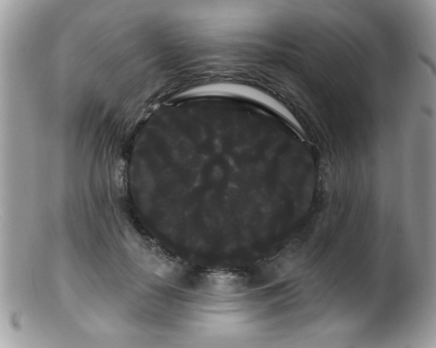 X0000099380650200805151619