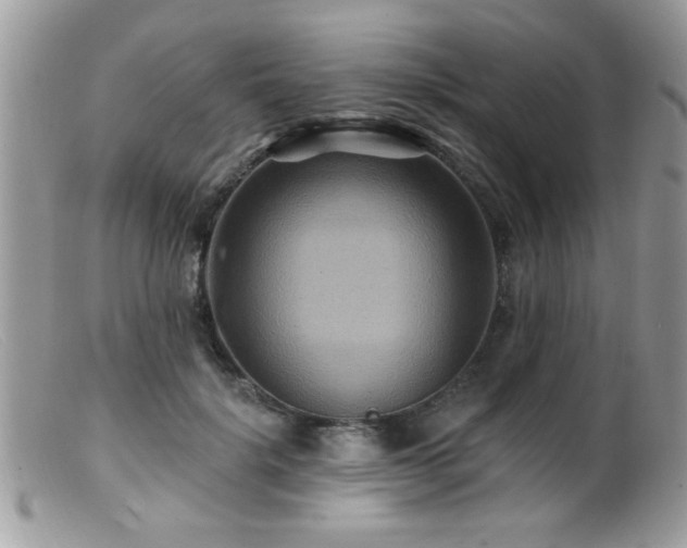 X0000099380652200805151619