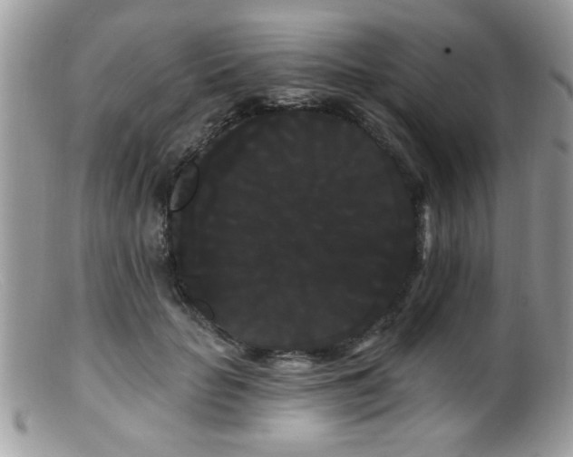 X0000099380653200805151619