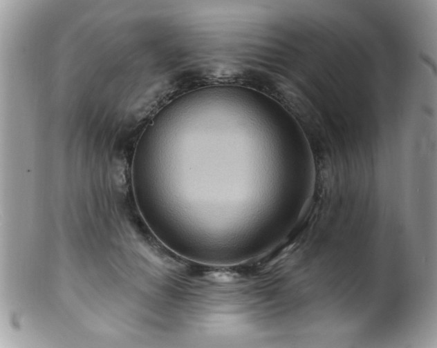 X0000099380654200805151619