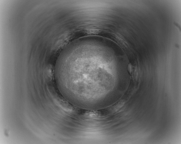 X0000099380655200805151619