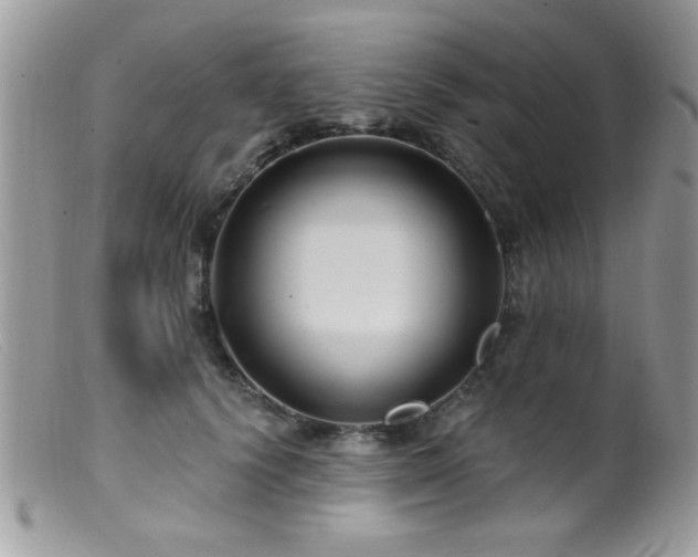 X0000099380656200805151619