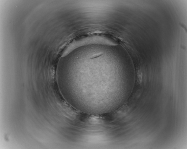 X0000099380657200805151619