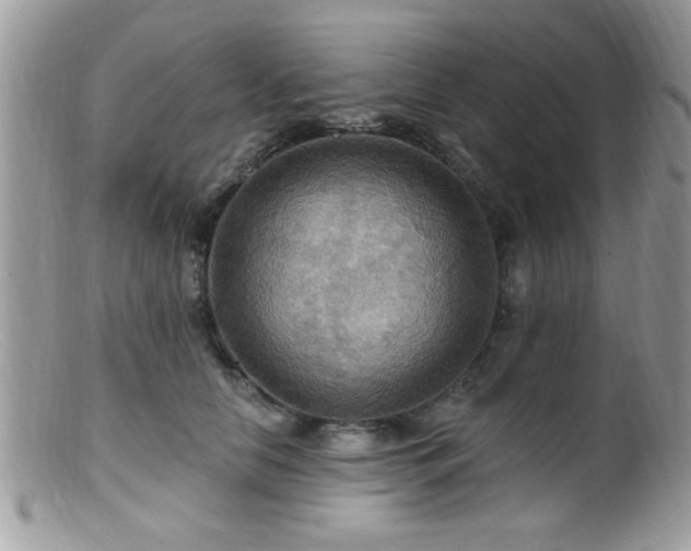 X0000099380658200805151619