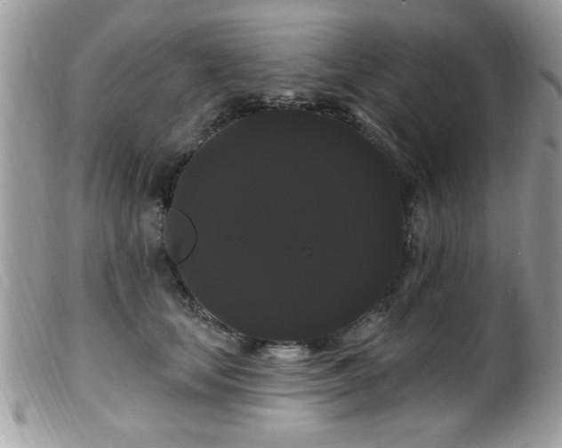 X0000099380659200805151620