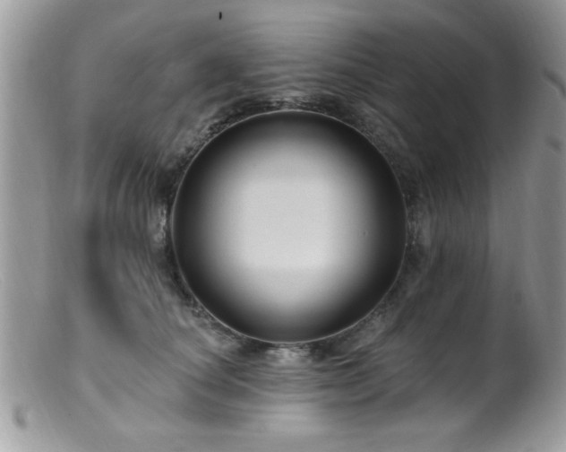 X0000099380660200805151620