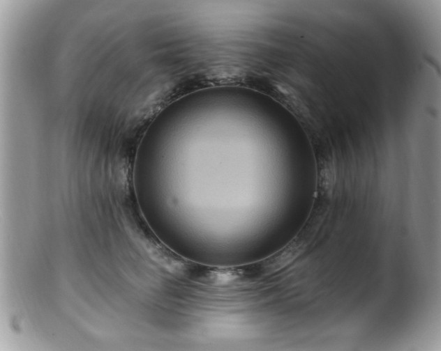 X0000099380662200805151620