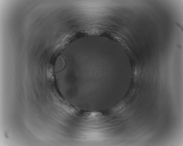 X0000099380663200805151620