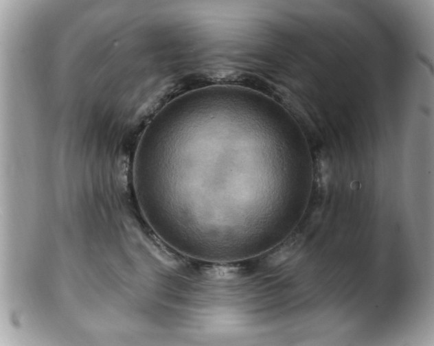 X0000099380664200805151620