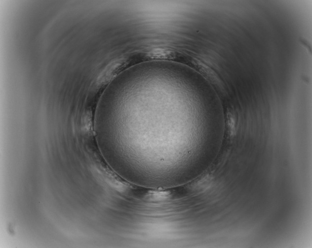 X0000099380665200805151620