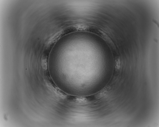 X0000099380666200805151620