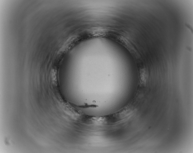 X0000099380667200805151620