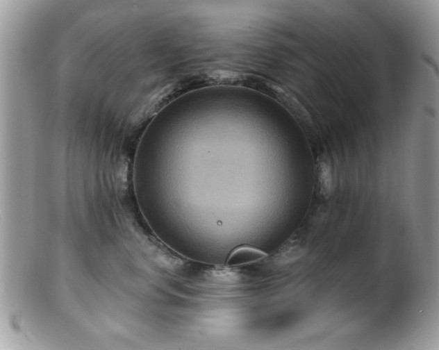 X0000099380668200805151620