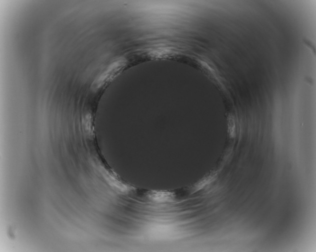 X0000099380670200805151620