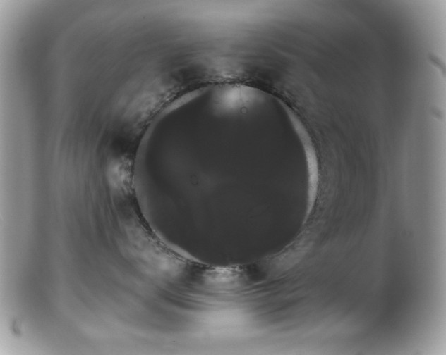 X0000099380672200805151620