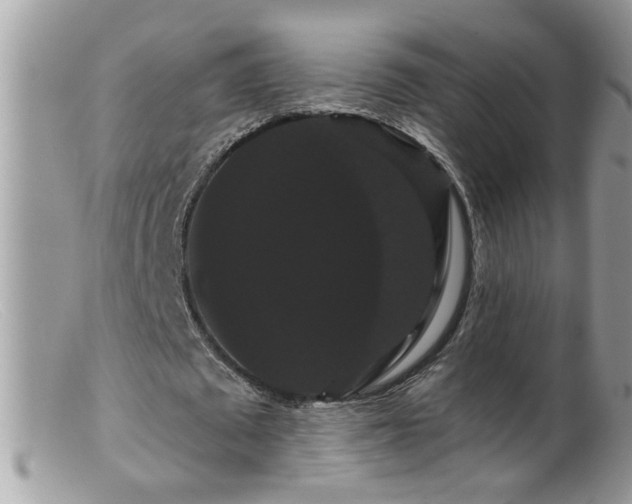 X0000099380673200805151619