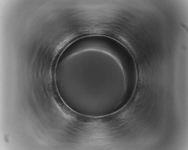 X0000099380674200805151619