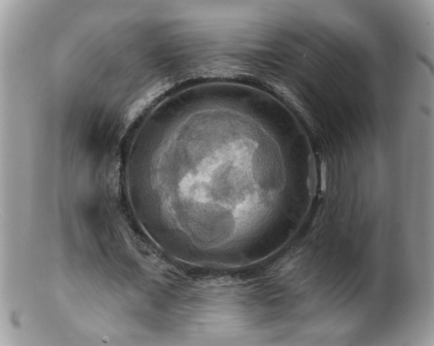 X0000099380675200805151619