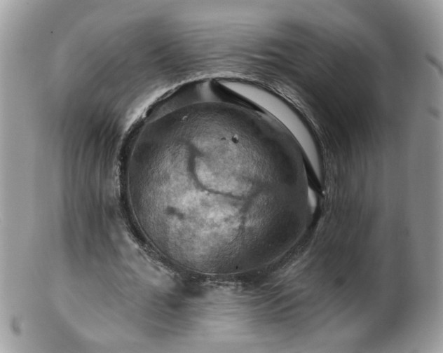 X0000099380676200805151619