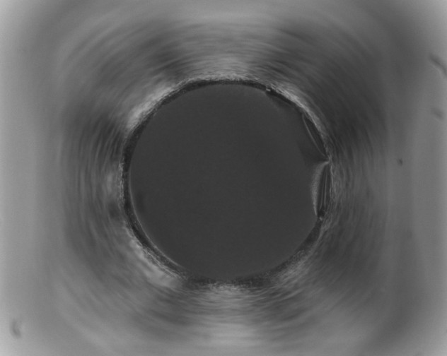 X0000099380677200805151619