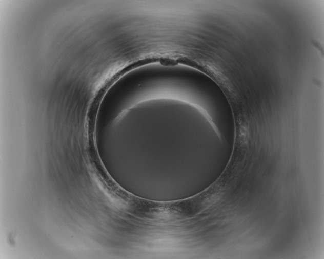 X0000099380678200805151619