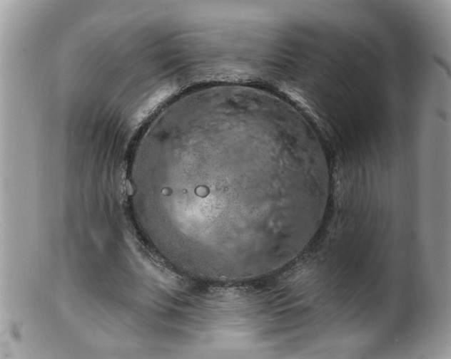 X0000099380679200805151619