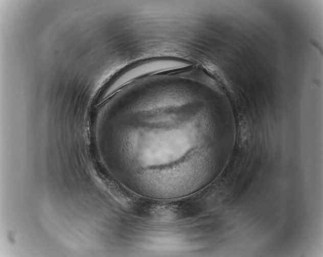 X0000099380680200805151619