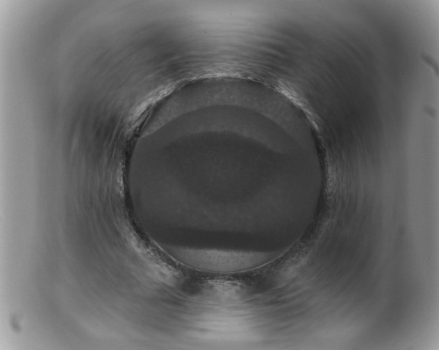 X0000099380681200805151619