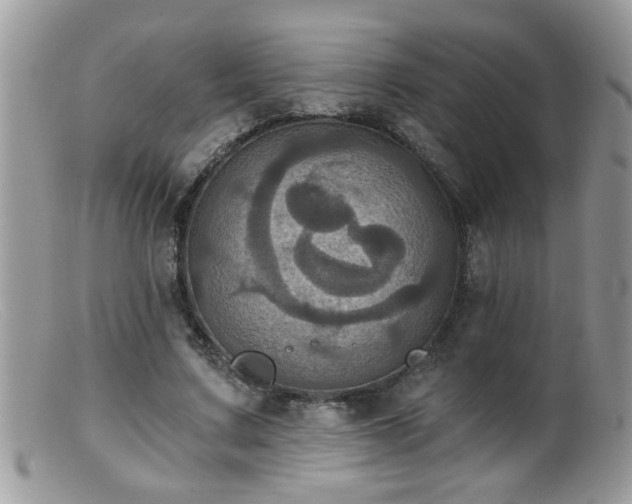 X0000099380683200805151619